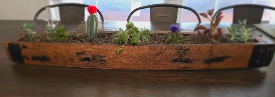 Bourbon barrel stave succulent planter