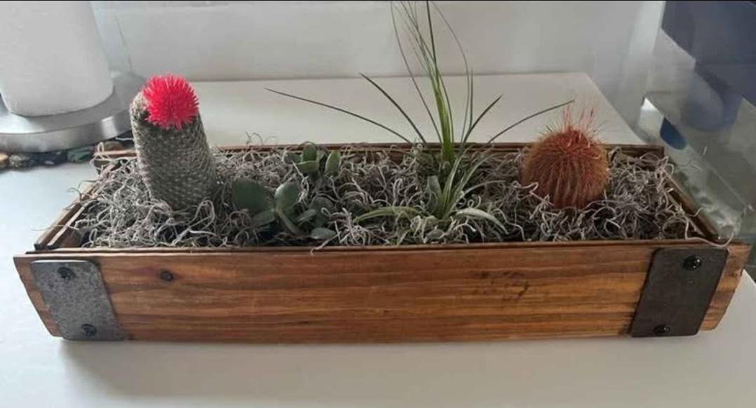 Bourbon barrel stave succulent planter